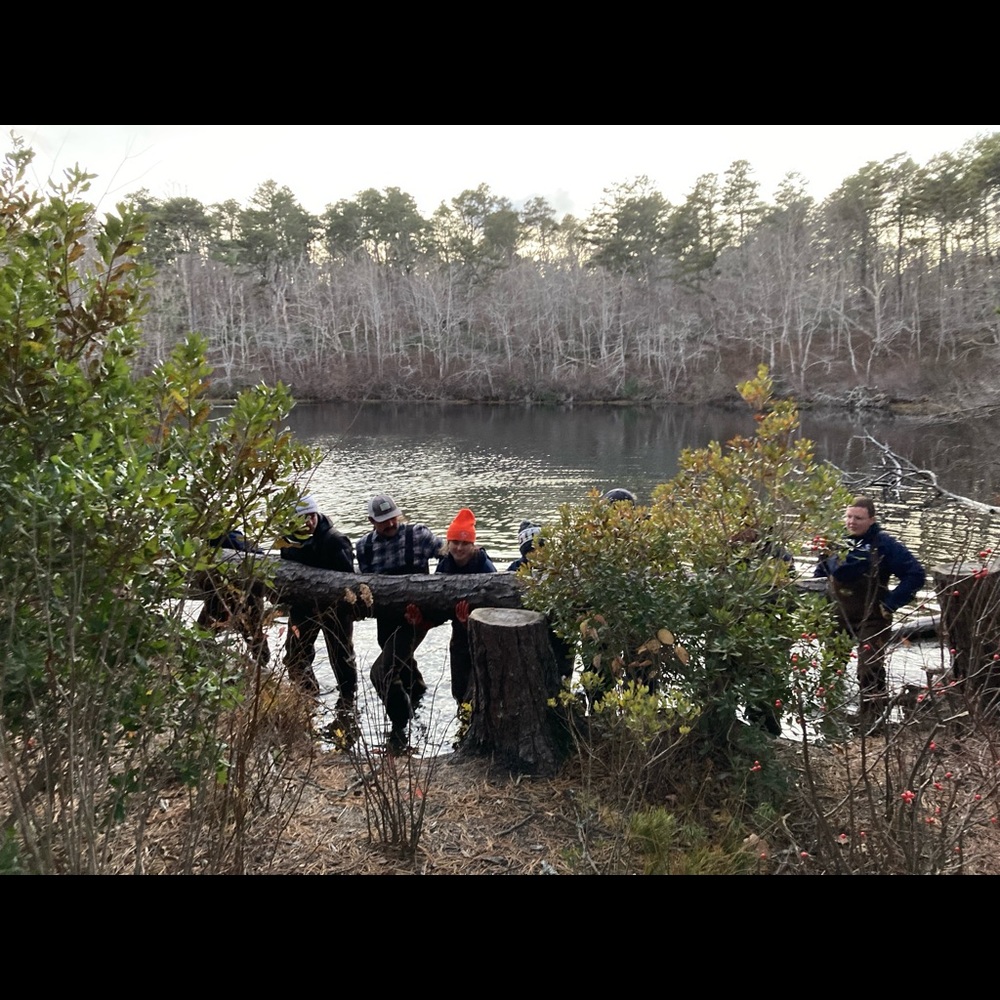 Fall jacket - Picture 4 of 4